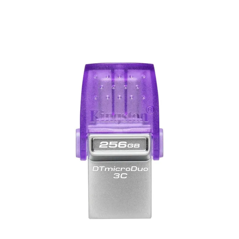 Kingston Ngs Flash Speicher DTDUO3CG3/256GB Violett 256 GB SSD Edelstahl