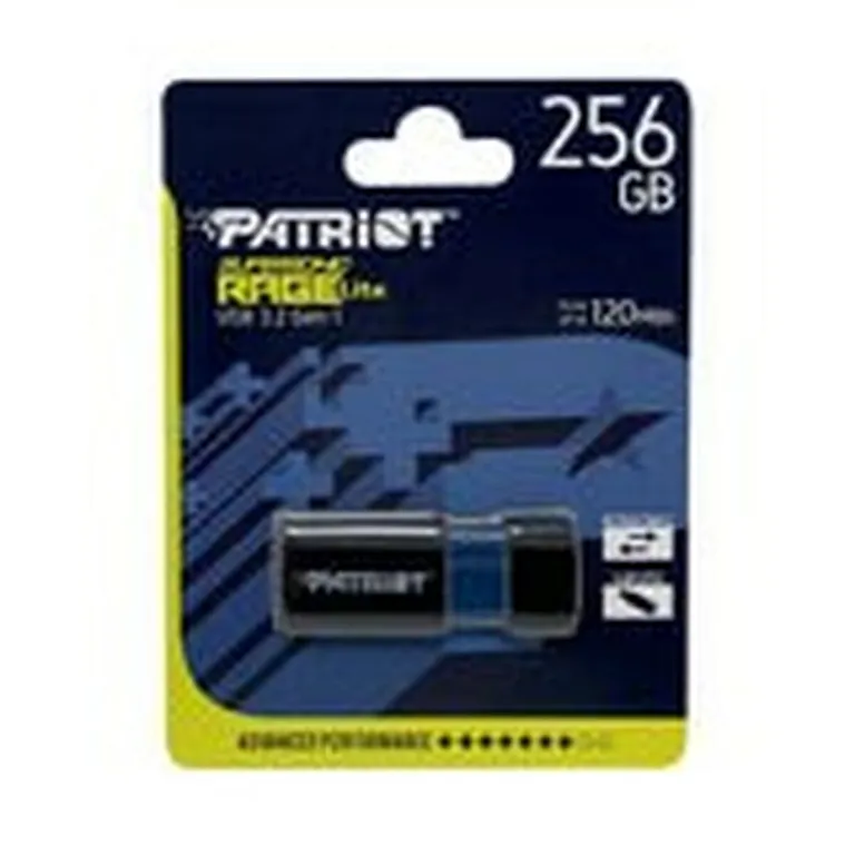 Patriot memory USB Pendrive Patriot Memory Rage Lite Schwarz 256 GB