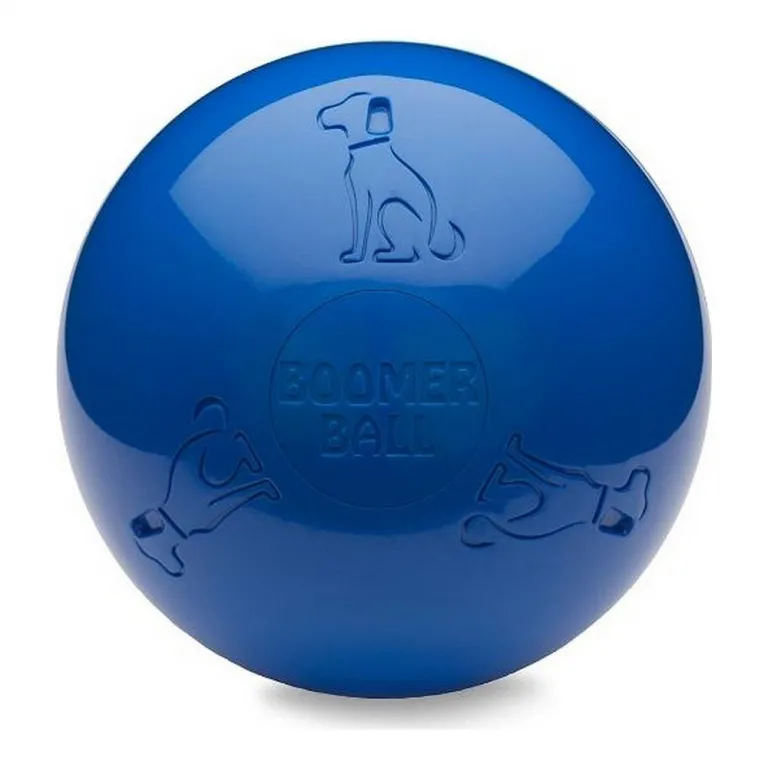 Company of animals Hundespielzeug Company of Animals Boomer Blau 150mm