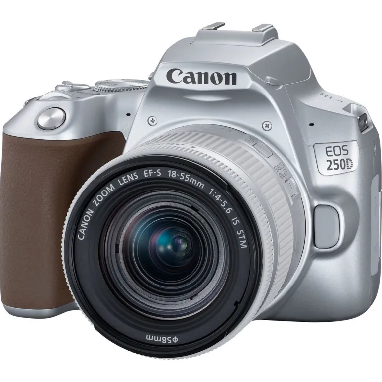 Canon Digitale SLR Kamera EOS 250D   EF-S 18-55mm f/4-5.6 IS STM