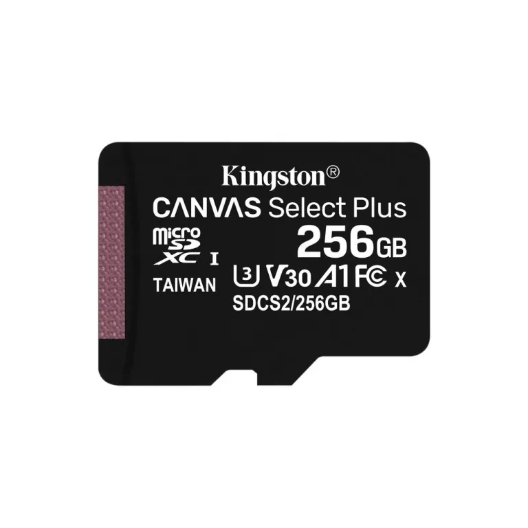 Kingston Ngs Micro SD-Karte SDCS2 / 256GBSP 256GB