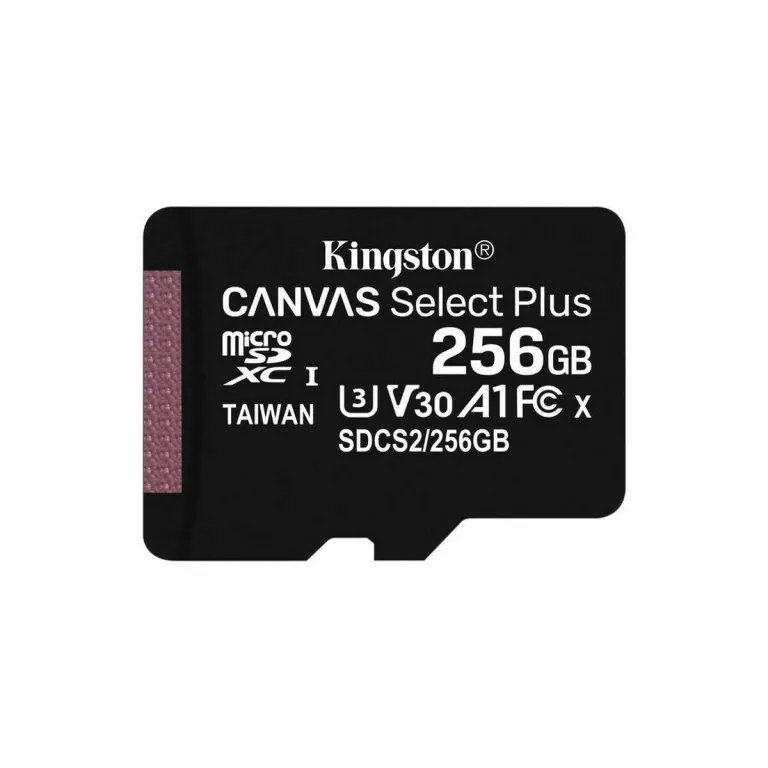 Kingston Ngs Mikro SD Speicherkarte mit Adapter SDCS2/256GBSP 256GB
