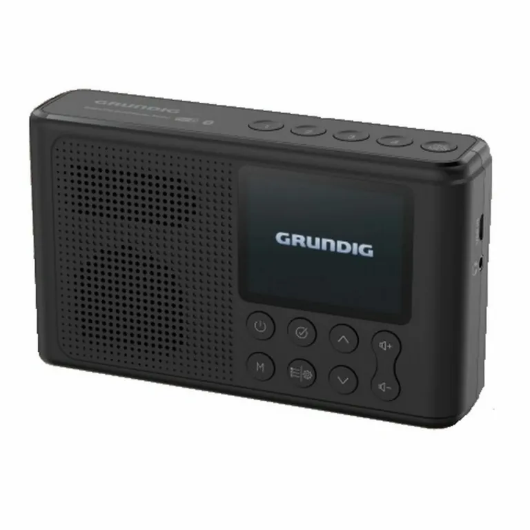 Grundig Tragbares Radio Music 6500 Schwarz Bunt