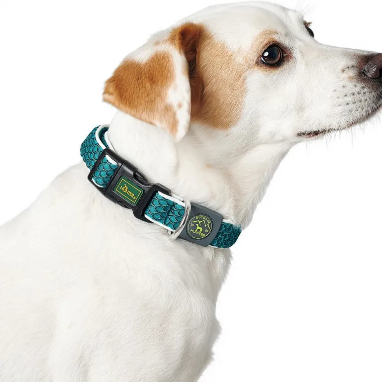 Hunter Hundehalsband Basic Thema Gre M Neongrn 33-50 cm