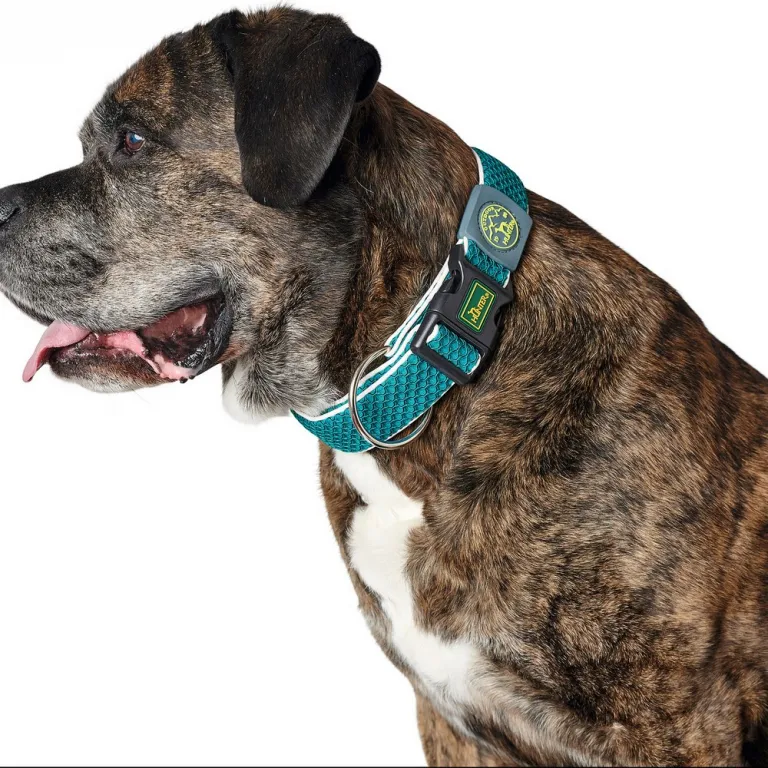 Hunter Hundehalsband Plus Thema turquoise trkis Gre L 40-60 cm