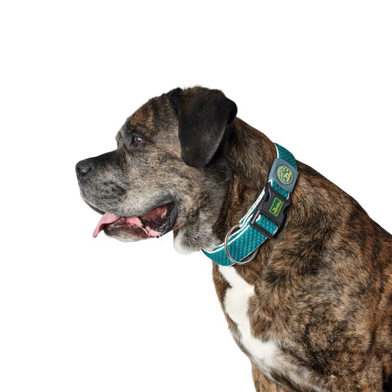 Hunter Hundehalsband Plus Thema turquoise trkis Gre XL 45-70 cm