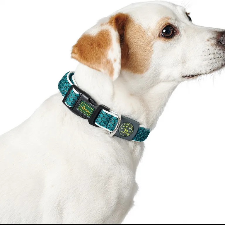Hunter Hundehalsband Basic Thema Blau Gre S Blue 30-43 cm
