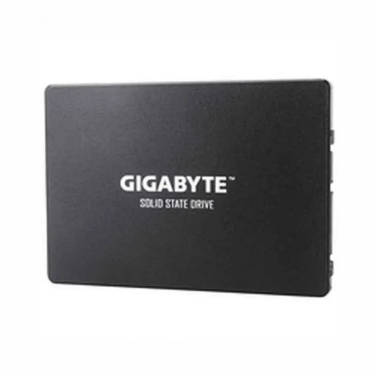 Gigabyte Festplatte GP-GSTFS31 25 SSD 450-550 MB / s