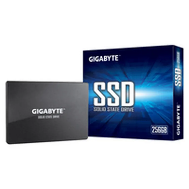 Gigabyte Computer-Festplatte GP-GSTFS31256GTND 25 256 GB SSD