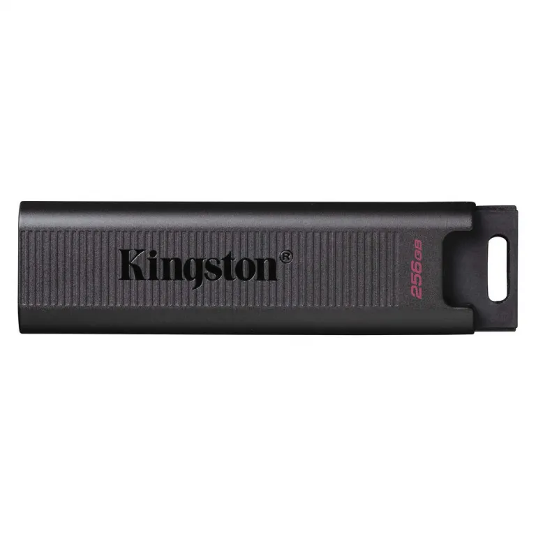 Kingston Ngs USB Pendrive DTMAX 256 GB