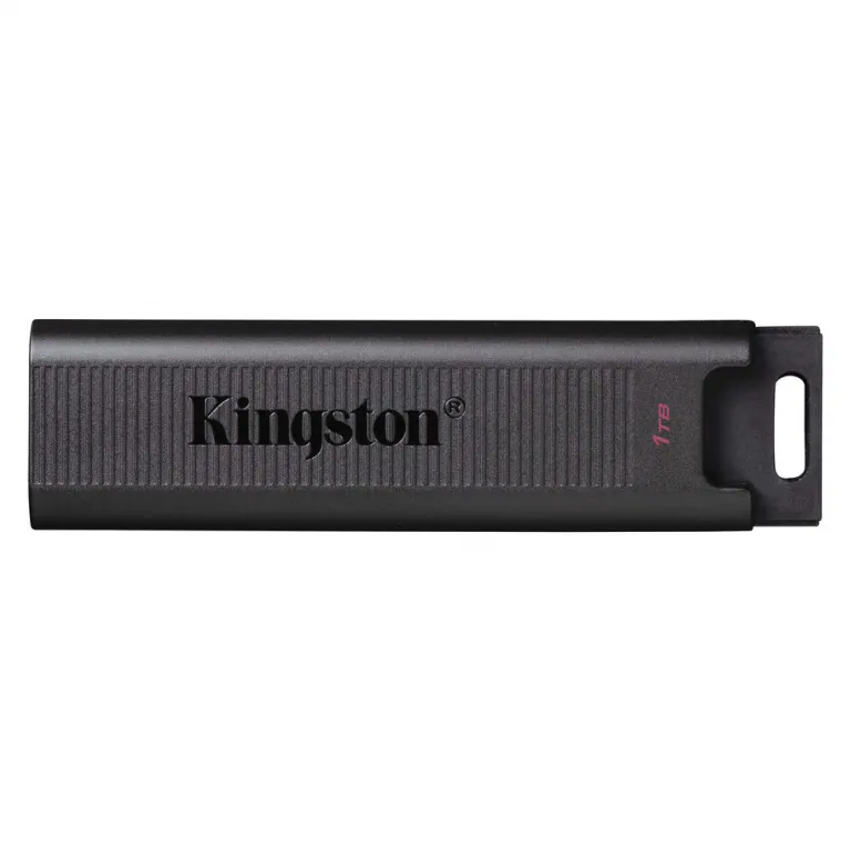 Kingston Ngs USB Pendrive DTMAX 1 TB