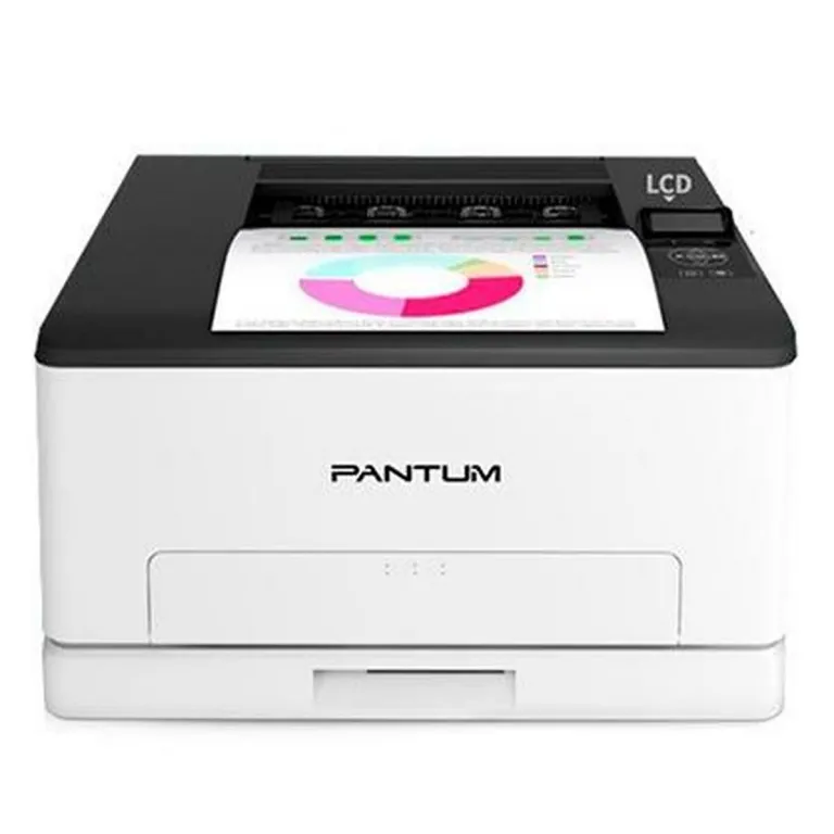 Pantum Laserdrucker PANTUM CP1100DW Standard Drucker