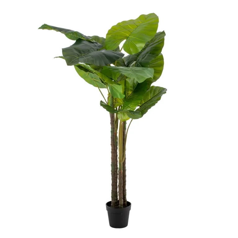 Dekorationspflanze 75 x 60 x 155 cm grn Philodendron