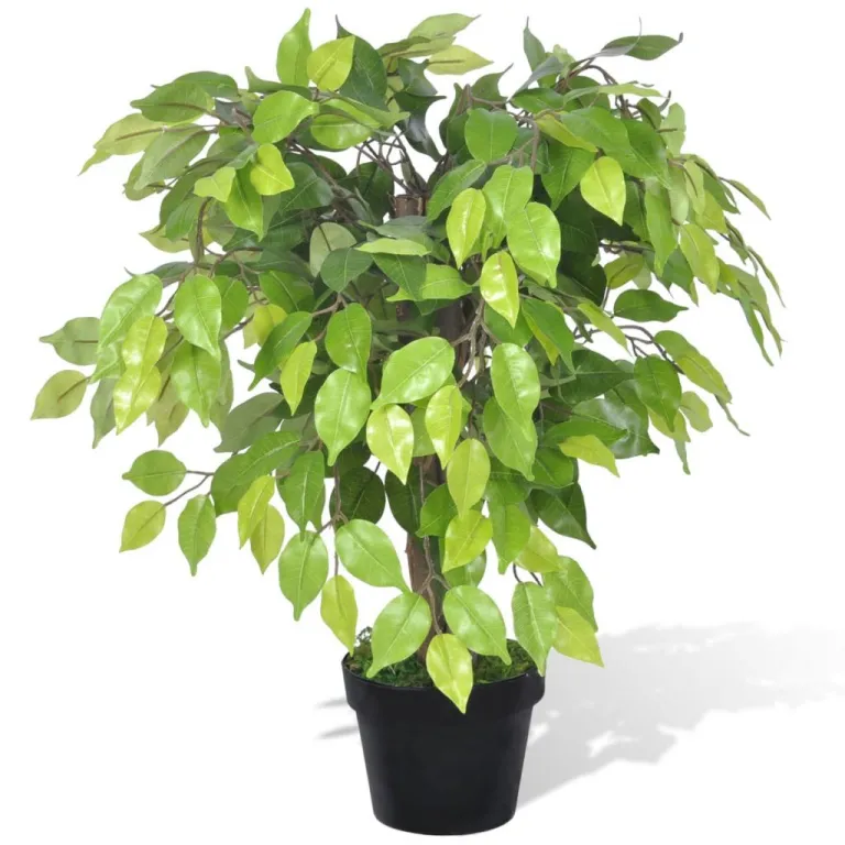 Knstlicher Zwerg-Ficus mit Topf 60 cm Pflanze realistisch echt