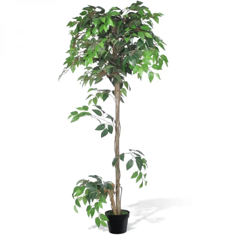 Knstlicher Ficus mit Topf 160 cm Pflanze realistisch echt