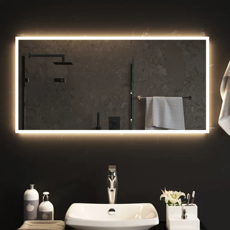 LED-Badspiegel 50x100 cm beleuchtet Badezimmer Spiegel