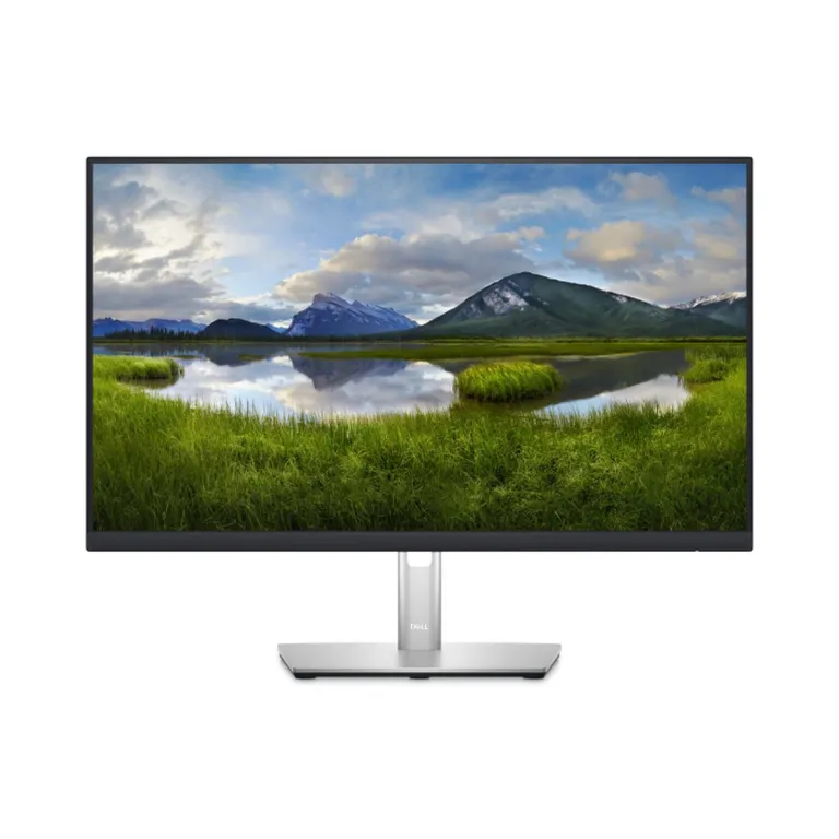Dell Monitor P2423DE 24 Zoll IPS LED Quad HD Computer PC Bildschirm Display