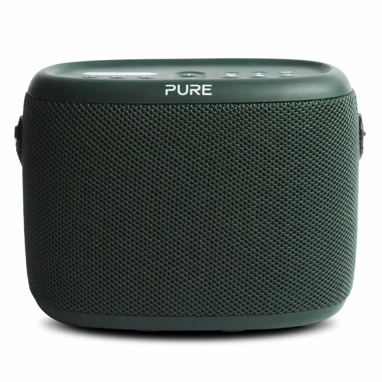 Pure AM/FM-Radio PURE WOODLAND